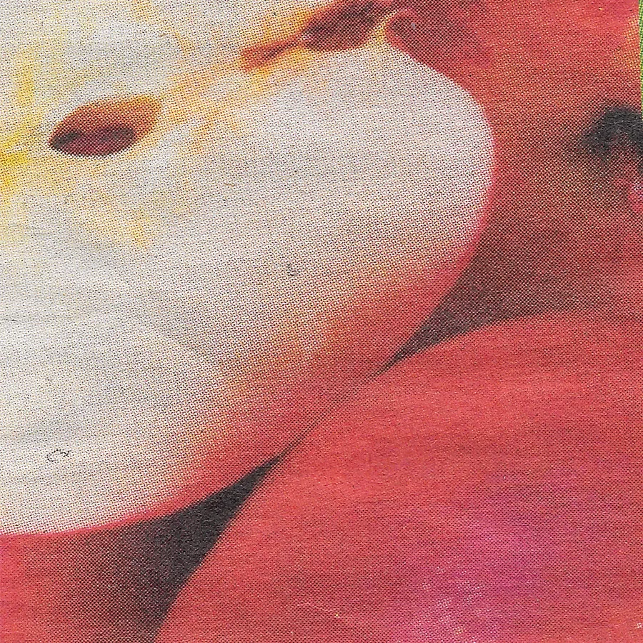 Macro scan of a print with organic shapes in red and cream