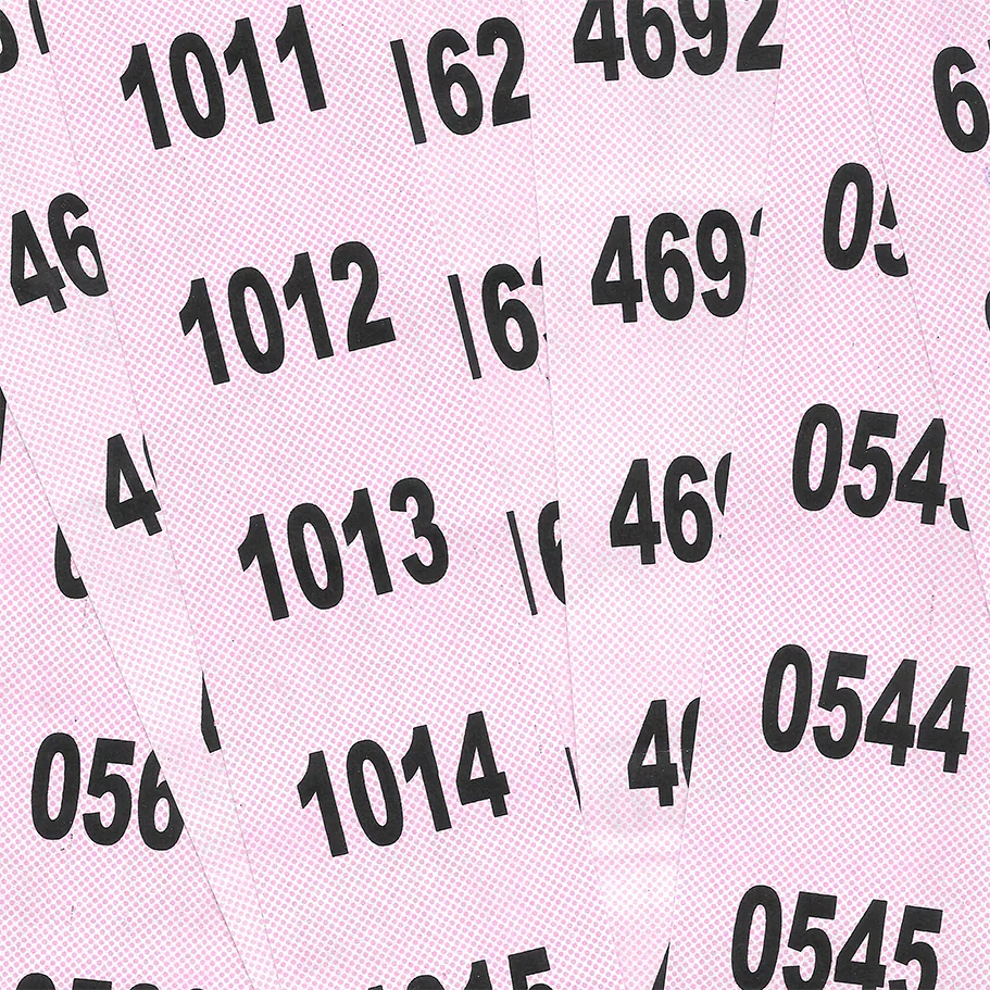 Scan of several numbered pink raffle tickets, with the printing screen visible