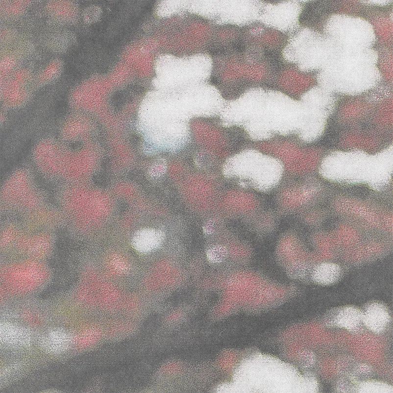 Scan of a printed image enlarged to a blur, in red, white and grey