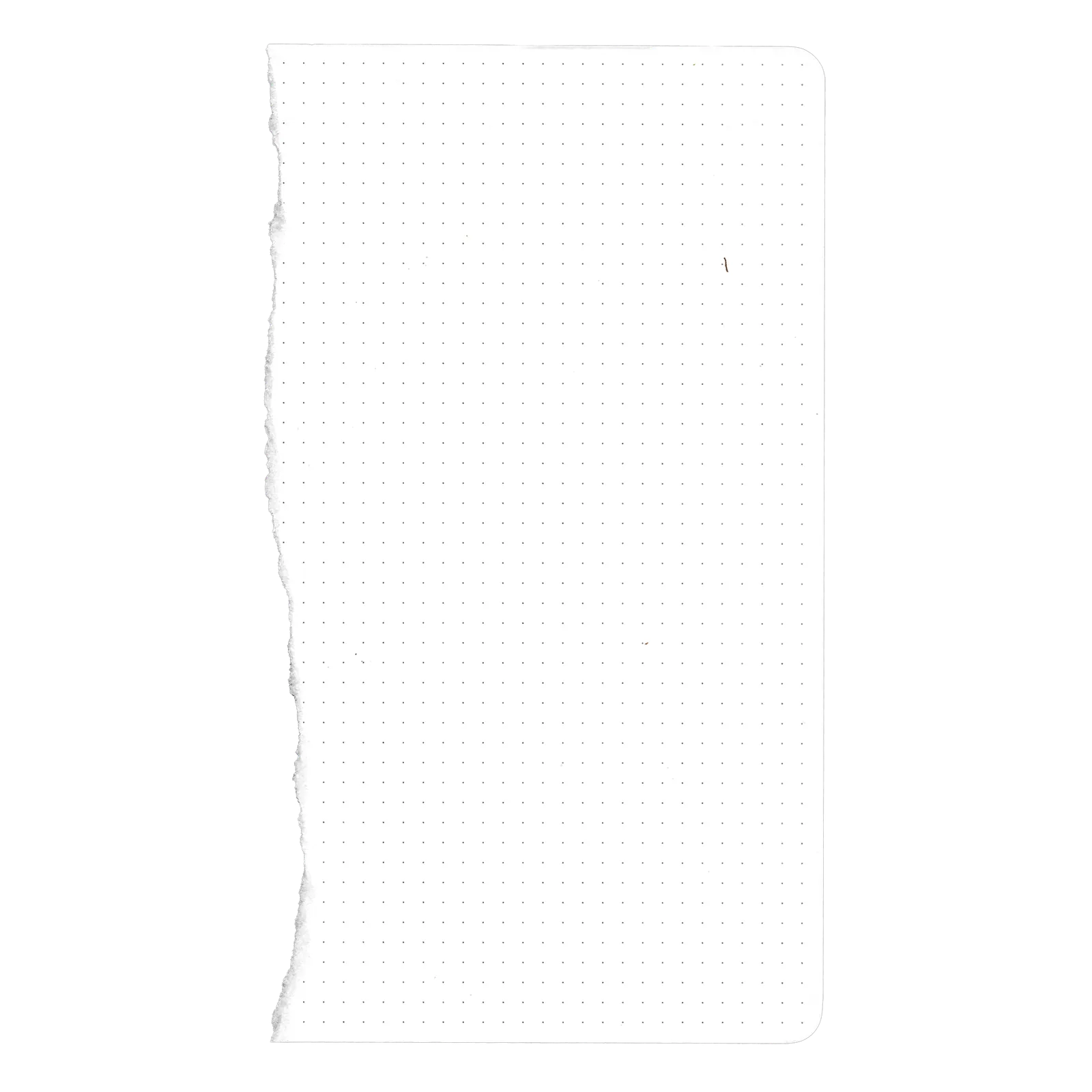 Scan of a sheet of dot-grid paper with the left edge torn away