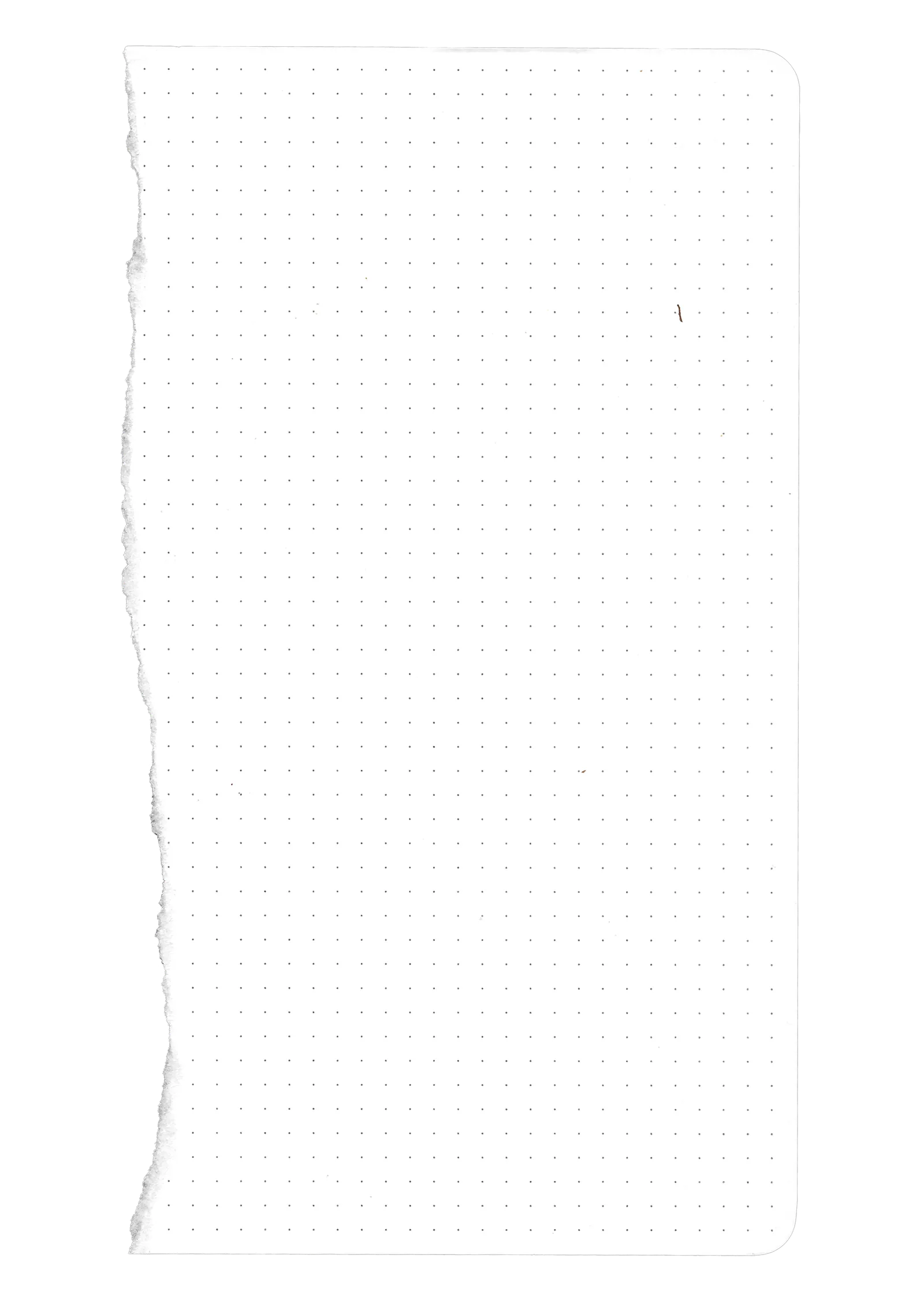 Scan of another torn dot-grid sheet, the tear running the whole length of the left margin