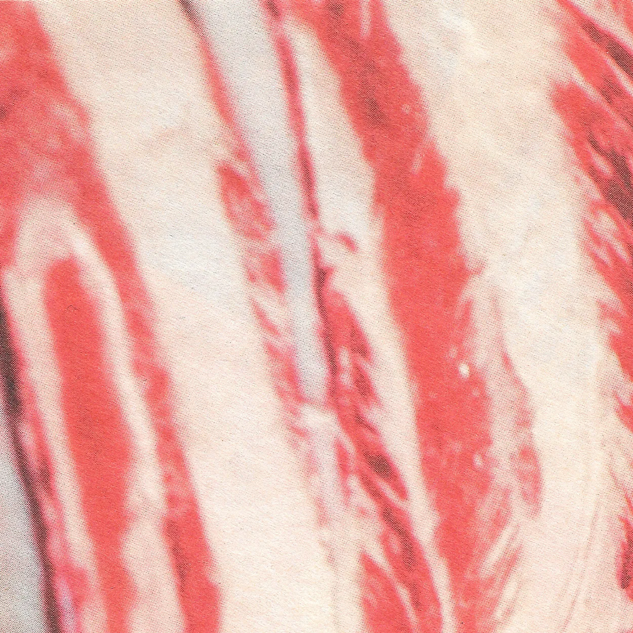 Macro scan of a printed image: pale coral and red diagonal strokes over off-white paper, the printing screen visible as a fine dot grid across the whole surface