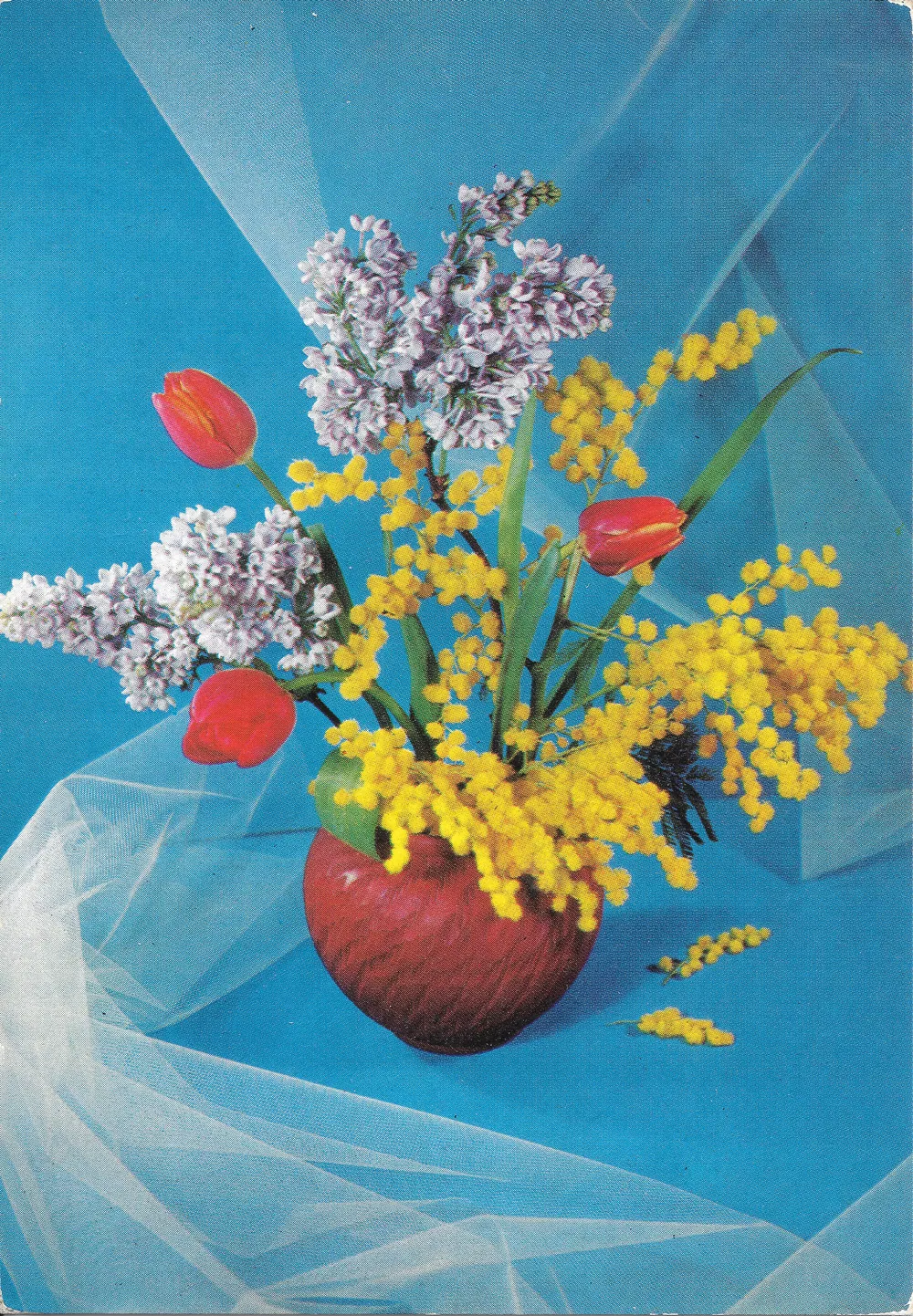 Scan of the front of a vintage postcard: lilac, mimosa and red tulips in a red glass bowl, photographed against blue tulle on a saturated blue ground