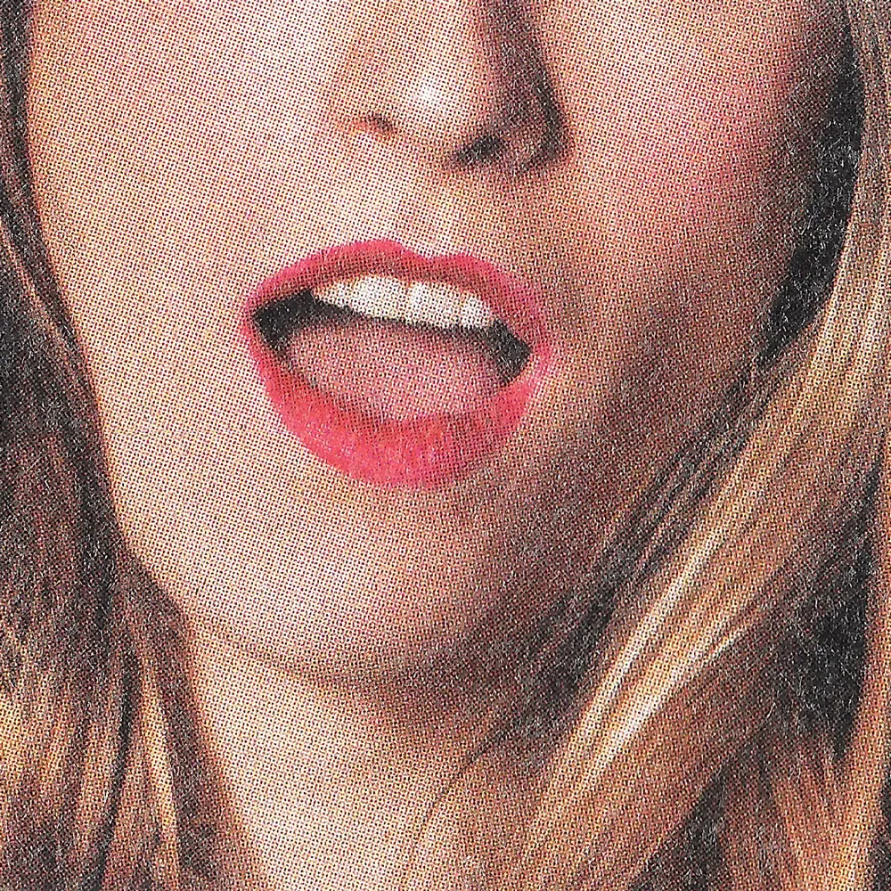 Macro scan of a printed photograph: a woman's mouth open in a red lipstick, hair falling either side, the four-colour screen breaking the skin into dots