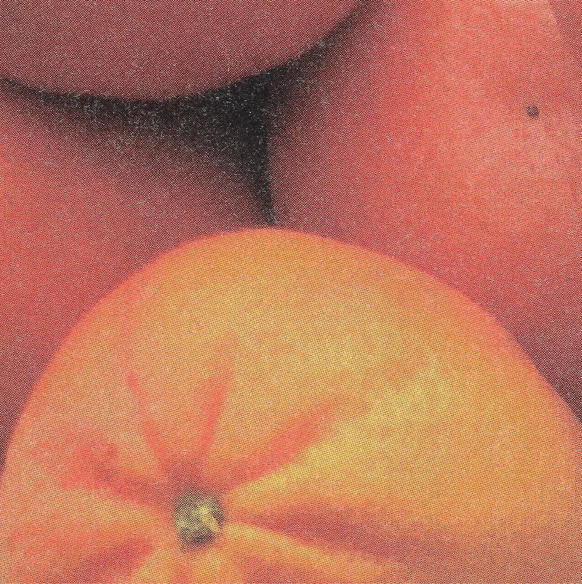 Macro scan of a printed photograph: an orange in warm yellow and red against a darker red ground, the halftone rosette visible across the whole surface