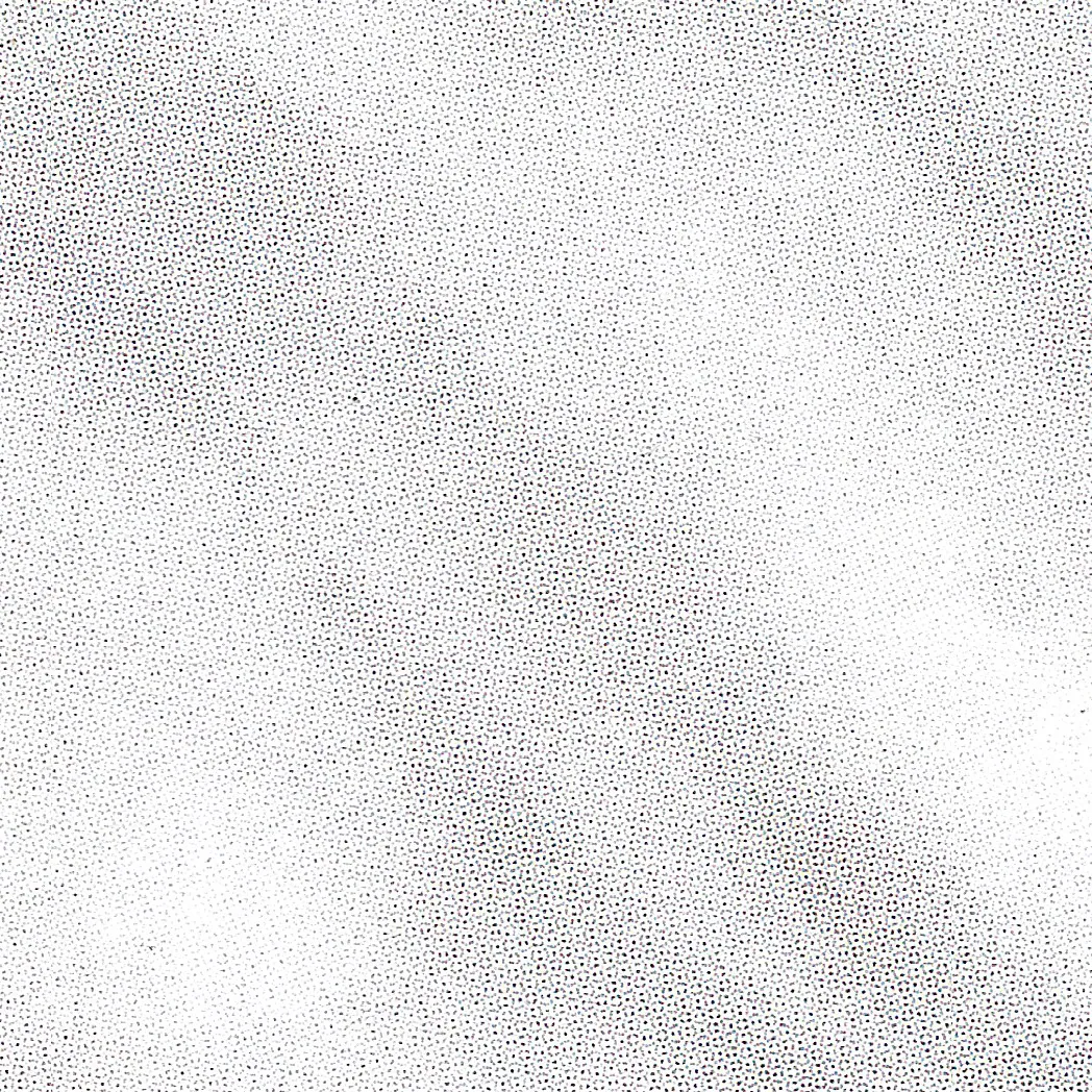 Macro scan of an almost empty printed area: a fine grey dot screen fading across white paper, denser towards the centre